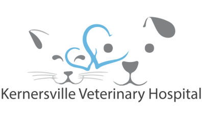 Kernersville Veterinary Hospital-HeaderLogo